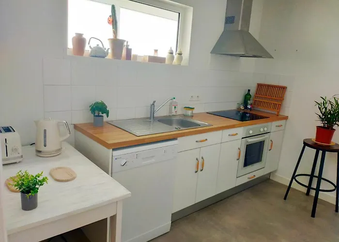 Apartmán Luxe Tropical - Edouard - Centre *