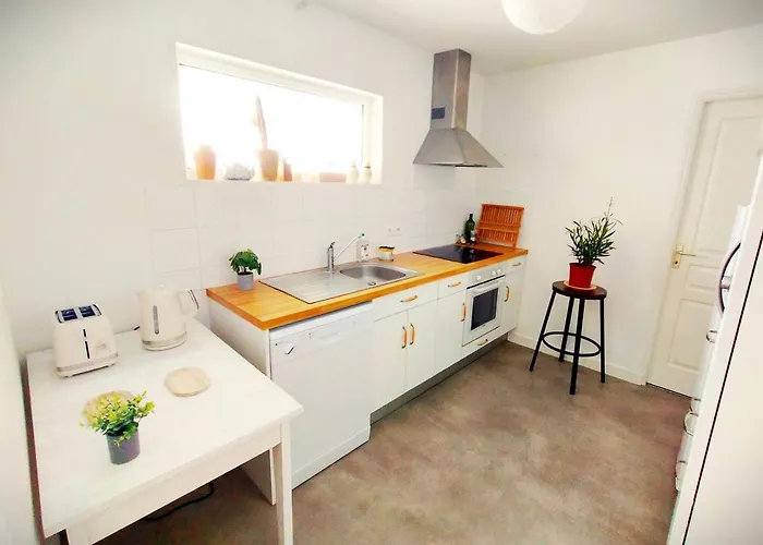 Luxe Tropical - Edouard - Centre Royan